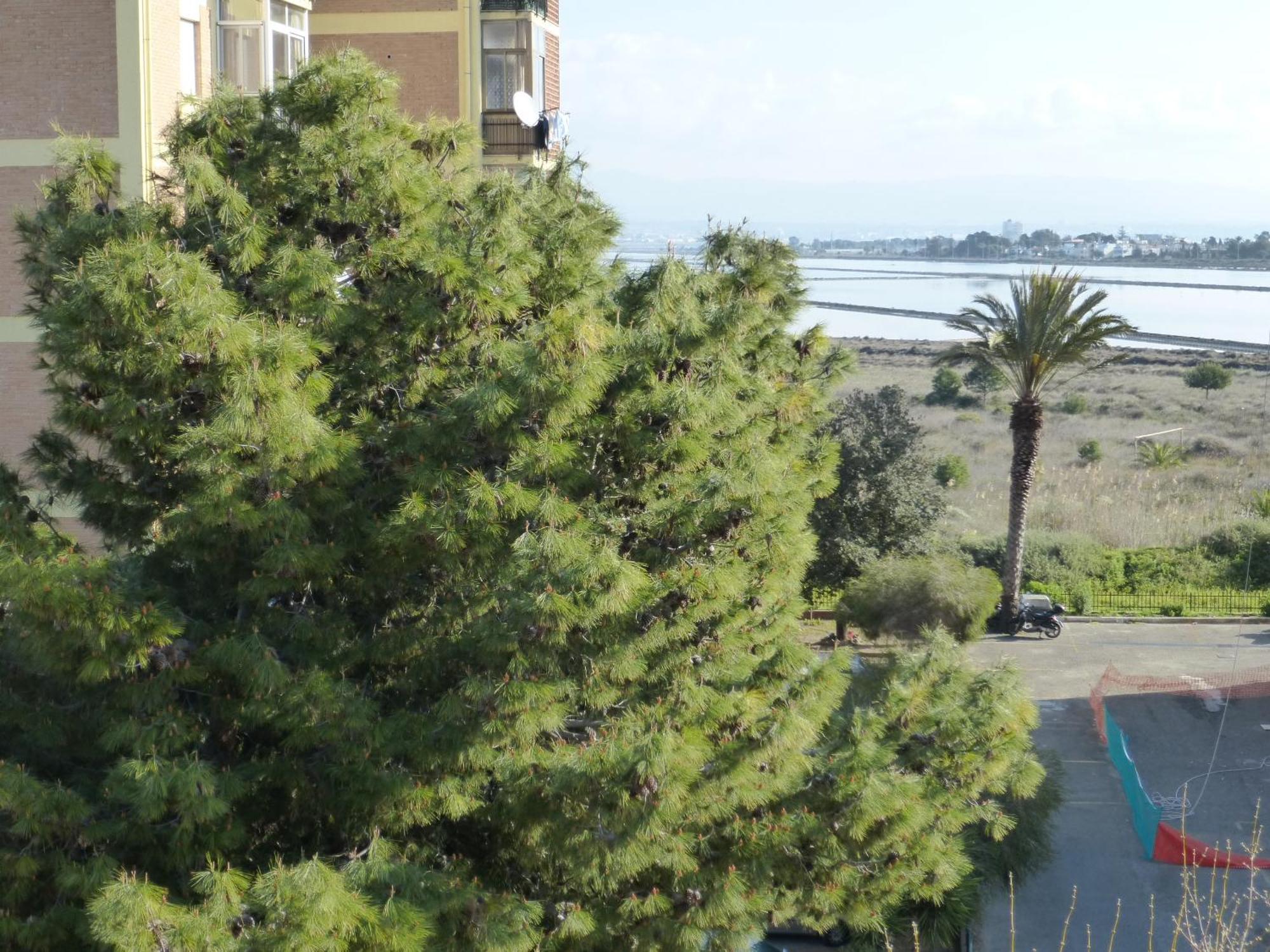 Chelu & Luna Cagliari Exteriér fotografie